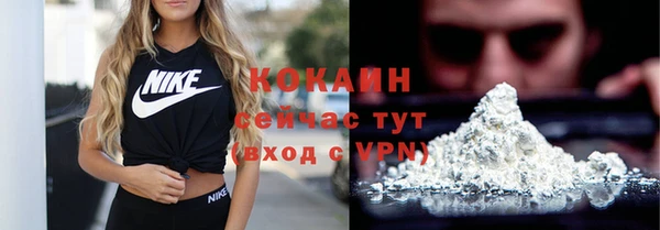 бошки Бородино