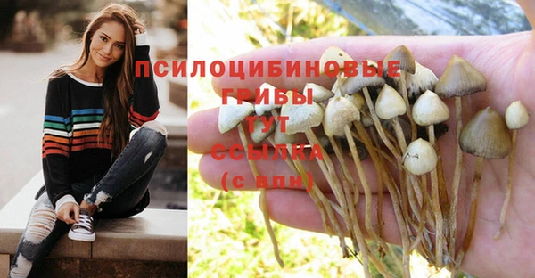 бошки Бородино
