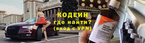 бошки Бородино