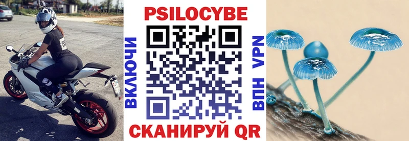 Псилоцибиновые грибы мицелий  Купить  Лодейное Поле 