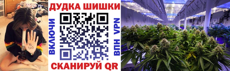 Купить  Лодейное Поле  Канабис ГИДРОПОН 